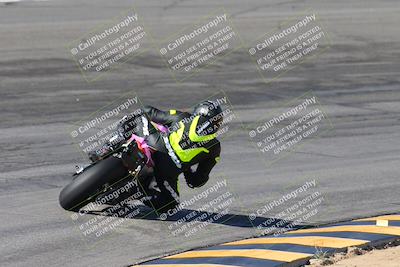 media/Feb-04-2024-SoCal Trackdays (Sun) [[91d6515b1d]]/4-Bowl Backside (11am)/